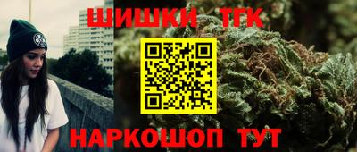 твердый Камень-на-Оби