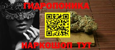 твердый Камень-на-Оби