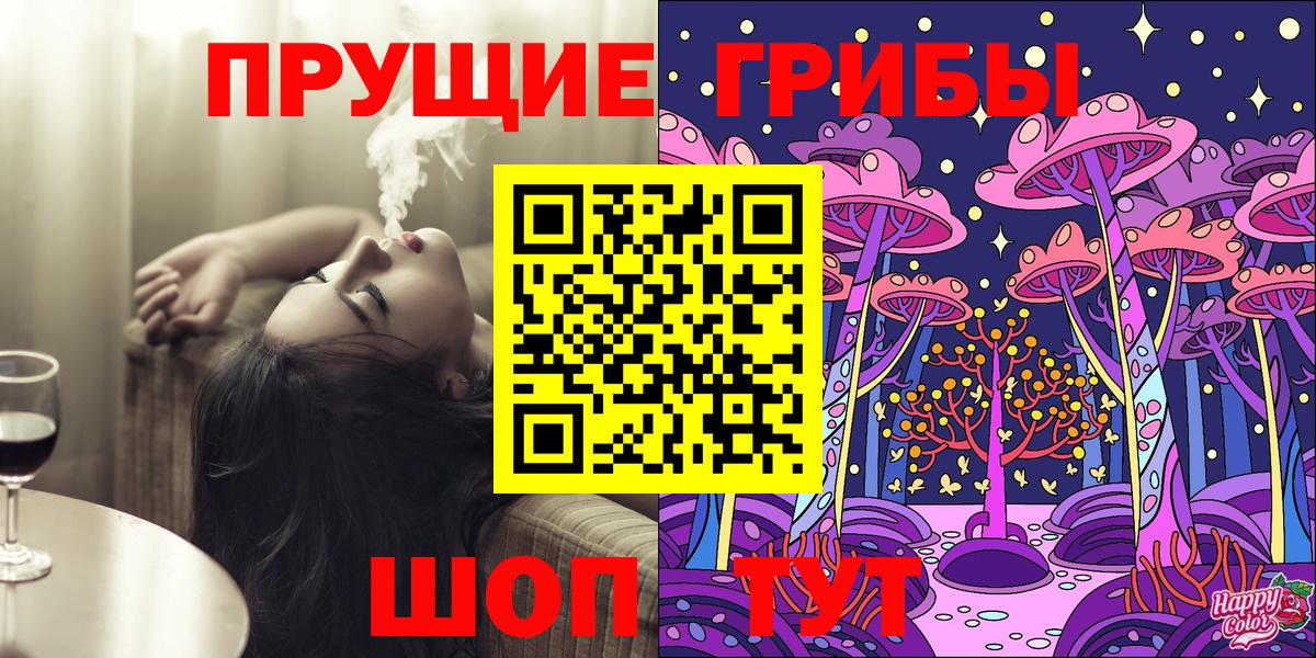 Галлюциногенные грибы Psilocybe Пенза